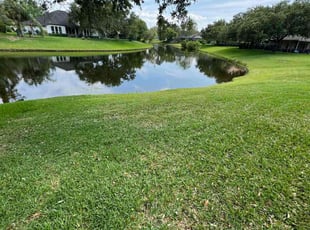 Judy B.'s Lawn Maintenance service result