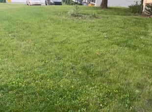 Cari S.'s Lawn Care service result
