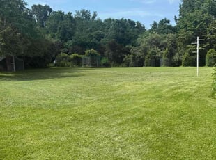 Weeding by Xavier slayton for Danny M. in Lynchburg, VA