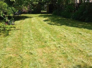 Dineen C.'s Lawn Mowing Service service result