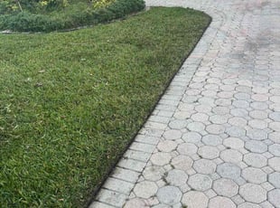 Joseph R.'s Lawn Mowing Service service result