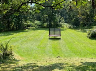 Grant w.'s Lawn Mowing service result