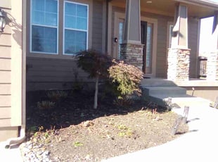 Bush Trimming by KK Green Grass for Apoorva M. in Olathe, KS