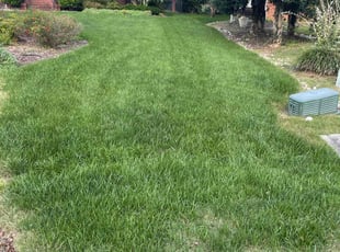 Michael H.'s Lawn Mowing Service service result