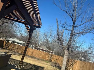 Leaf Removal by Guadalupe Casas Perales for Karen C. in San Antonio, TX