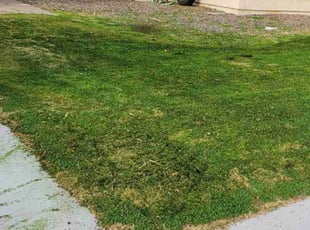 James C.'s Lawn Care service result