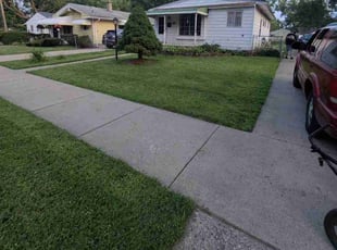 Pamela H.'s Grass Cutting service result