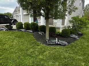 Bush Trimming by Ronald Coleman for Chapin M. in Sunbury, OH