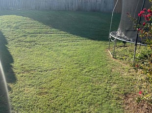 Terri H.'s Lawn Service service result