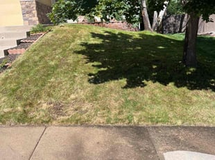 Landscaping by Brennen Spratte for Amber M. in Colorado Springs, CO