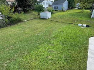 Hae E.'s Yard Cutting service result