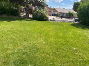 Coeta H.'s Lawn Service service result