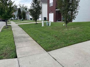 Brittany V.'s Lawn Mowing service result