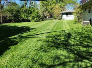 Kristy P.'s Yard Cutting service result