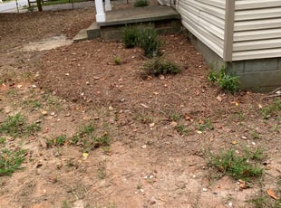 Bush Trimming by Vincent Cowart for Patrice B. in Statesville, NC