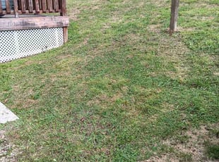 Cleanups by Christopher Hermes for Mike W. in Charleroi, PA
