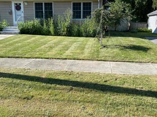 Dawn S.'s Yard Cutting service result