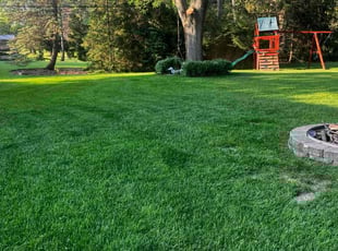 Tina A.'s Lawn Mowing Service service result