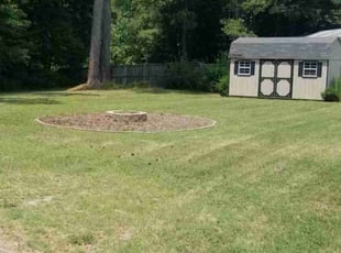 Michael S.'s Lawn Mowing service result