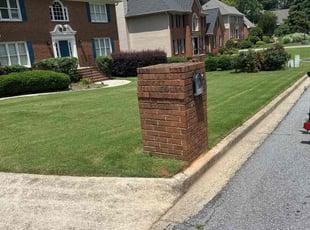 Bush Trimming by Armando J for Bk B. in Stone Mountain, GA