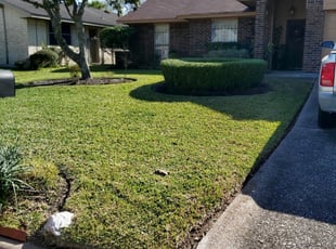 Bush Trimming by Dannon Jamison for Robert T. in Houston, TX
