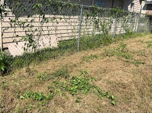 Weeding by Peter Williams for Sandy J. in New Orleans, LA