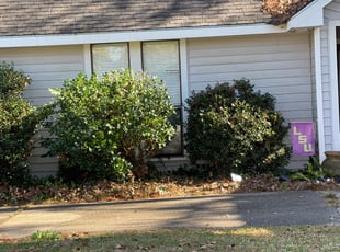 Bush Trimming by Carl George for Marcie R. in Baton Rouge, LA