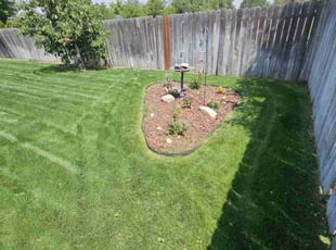 Daniel F.'s Lawn Service service result