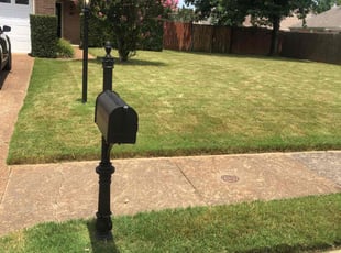 Jim L.'s Lawn Mowing service result