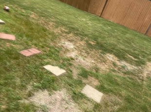 Aeration by Patrick Stewart for Olayemi S. in Prosper, TX