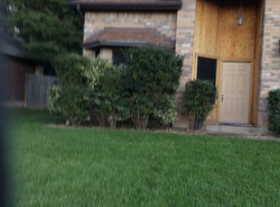 Bush Trimming by Joshua Cedars for Daniel H. in Leander, TX