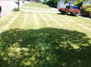 James F.'s Lawn Maintenance service result