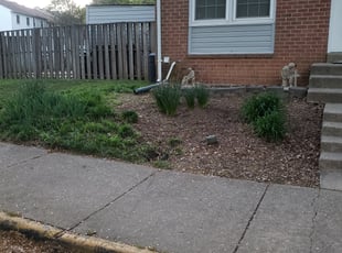 Landscaping by Zach Bini for Kristopher T. in Woodbridge, VA