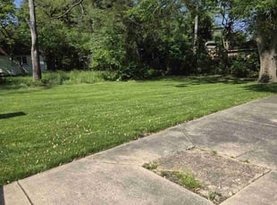 tyler t.'s Lawn Service service result