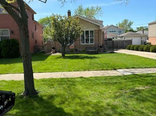 Patricia S.'s Lawn Mowing service result