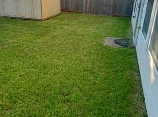 Patricia T.'s Lawn Service service result