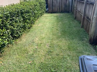 Jason S.'s Lawn Maintenance service result