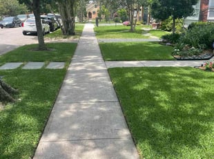 Timothy B.'s Lawn Mowing service result