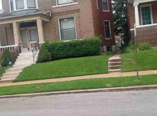 Stephen R.'s Lawn Mowing service result