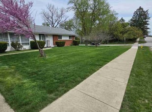Briar H.'s Lawn Care service result