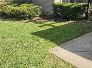 Bush Trimming by Jason Hughes for Ashley C. in Savannah, GA