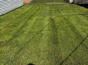 James A.'s Lawn Maintenance service result