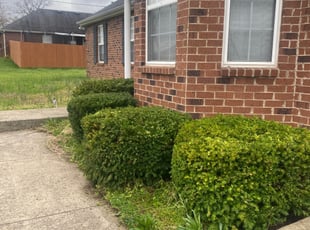 Bush Trimming by Chris Wieland for Will M. in Smyrna, TN