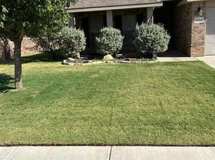 Courtney A.'s Grass Cutting service result