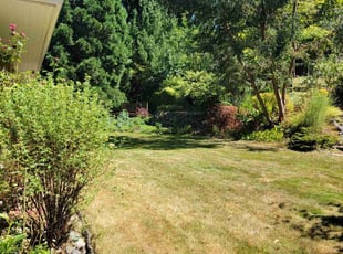 Bush Trimming by Jeffrey Preece for Lauren E. in Portland, OR