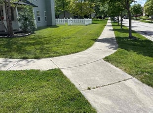 Brandon Z.'s Grass Cutting service result