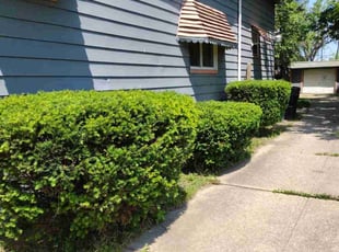 Bush Trimming by Anthony Coleman for Tk S. in Cleveland, OH