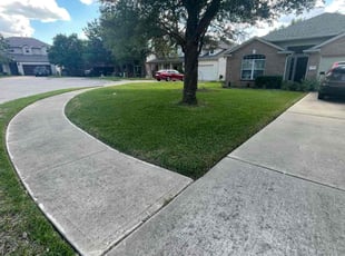 Donneshia W.'s Lawn Mowing service result