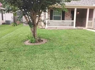 Taffani C.'s Lawn Care service result