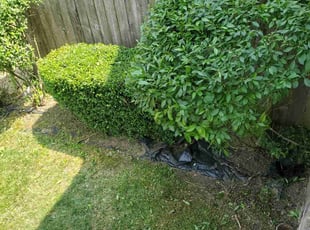Weeding by Marvin Simmons for Ramzi G. in Philadelphia, PA